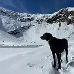 Lägenhet Whiteberg *